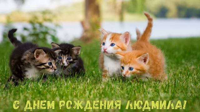 С Днем рождения, Людмила! смотреть онлайн