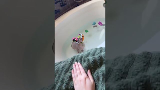 Время водных процедурок смотреть онлайн