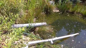 Барабанный фильтр у меня в пруду