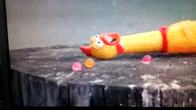 Издевательства над курицей смотреть онлайн