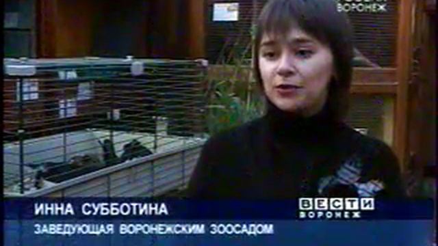 14.01.2008г. Россия Белый дикобраз смотреть онлайн