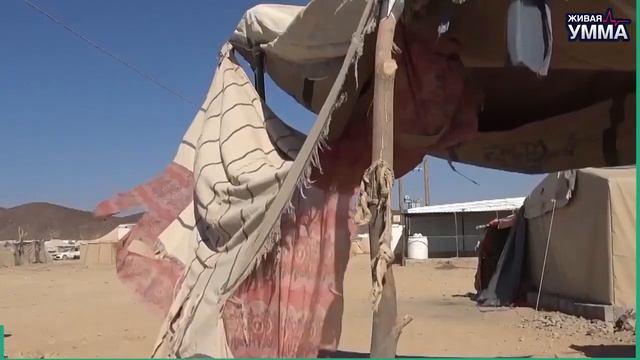 Западная помощь — причина голода и зависимости смотреть онлайн