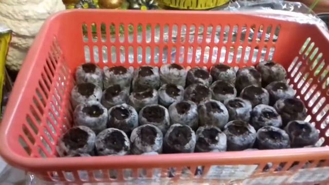 и снова сеем семена смотреть онлайн