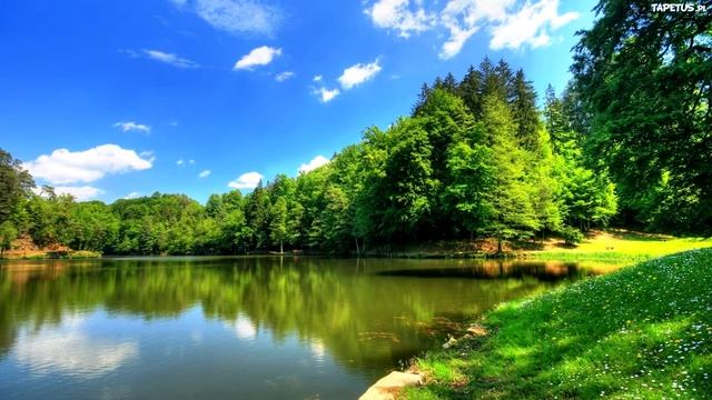 Луиза Хей - Живительная благодарность. Глава 15. Аудио смотреть онлайн