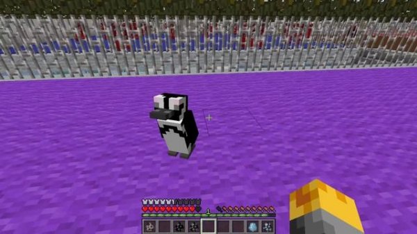 Minecraft PENGUIN MOD / BREED ALL TYPES OF PENGUINS AND PUT THEM IN YOUR ZOO!! Minecraft