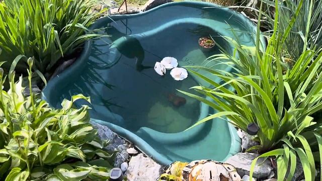 Кто хочет дачу | один день на даче #местосилы #дача #мойдень смотреть онлайн