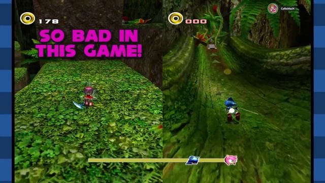 "You've Never Dealt With Amy's Wrath?!" | Psychological Trauma in Sonic Adventure 2's Multiplayer! смотреть онлайн
