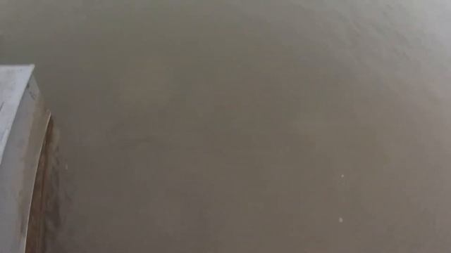 ОПЯТЬ ПРО ЛЕЩА, НЕ монстры, НЕ рвут, НЕ разгибают. смотреть онлайн