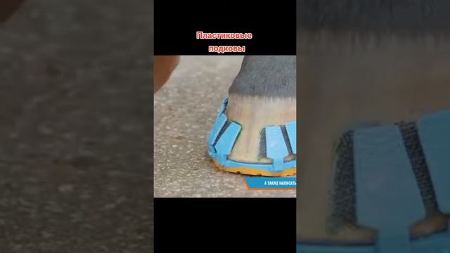 Пластиковые подковы для лошадей | Современные и удобные смотреть онлайн