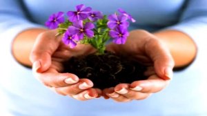 Рачкова Е.В. Команда "Солнечные дети"  Гимн "Экология"