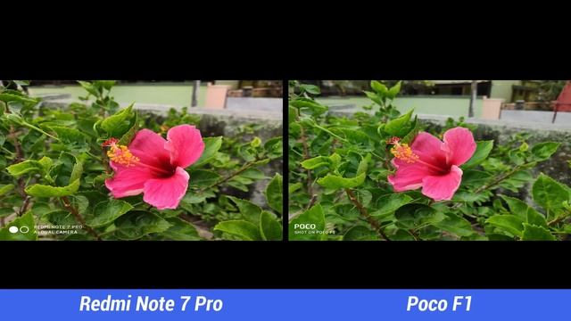 Xiaomi Redmi Note 7 Pro vs Poco F1 Camera Comparison смотреть онлайн
