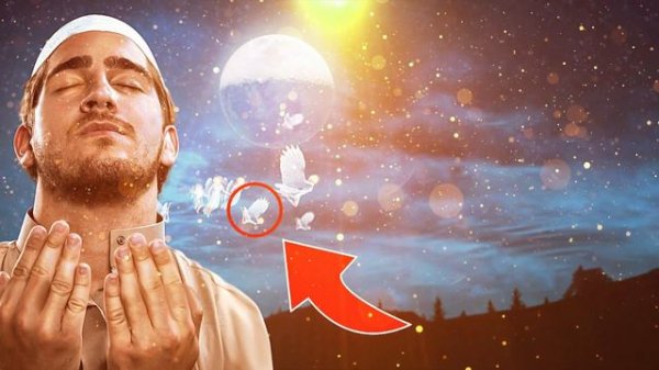 ШАЪБОН ОЙИНИНГ РЎЗАСИ shabon oyi ro'zasi 2024