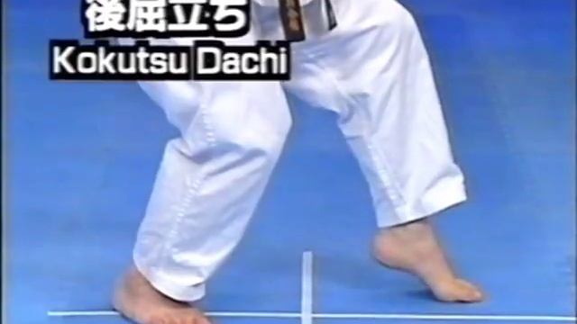 №1-3 стойки Tachikata (Stances) #Kyokushin #Karate #Encycklopedia #Кёкусинкай #каратэ #Энциклопедия смотреть онлайн