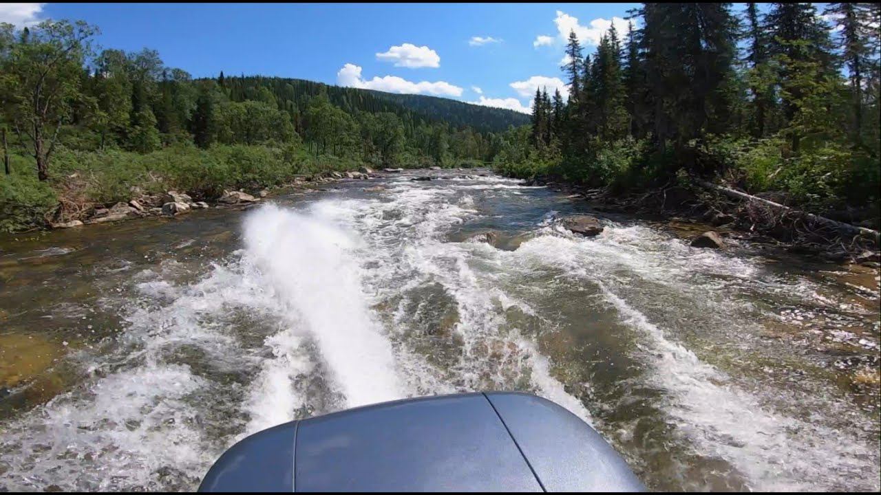Solar Camaro смотреть онлайн