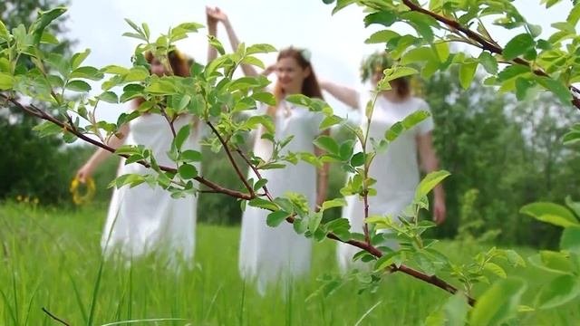 Танцы в лесу. Студия танцев "Ан-Наджах" смотреть онлайн