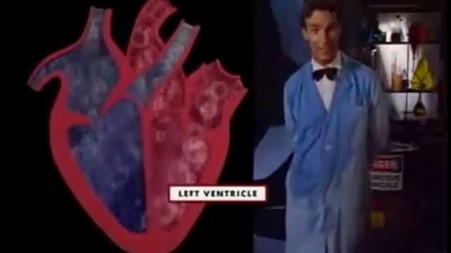 Circulatory System Bill Nye on the Heart (Part 2) смотреть онлайн