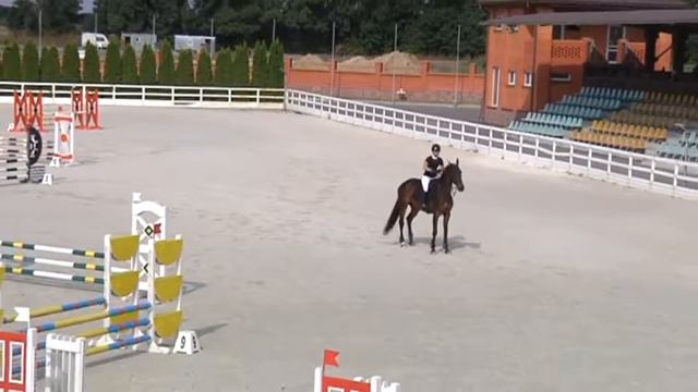 Кубок Parade Allure, м.Жашків, 31.08.2019 - М№10, №9 - 80см, Діти, Відкритий клас смотреть онлайн