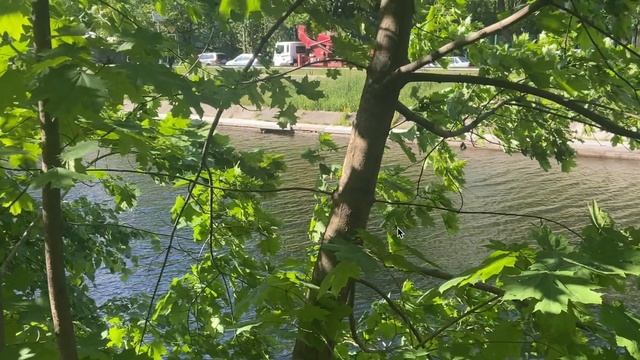 IPHONE 11 В 2023 ГОДУ | СТОИТ ЛИ ПОКУПАТЬ | ОПЫТ ИСПОЛЬЗОВАНИЯ смотреть онлайн