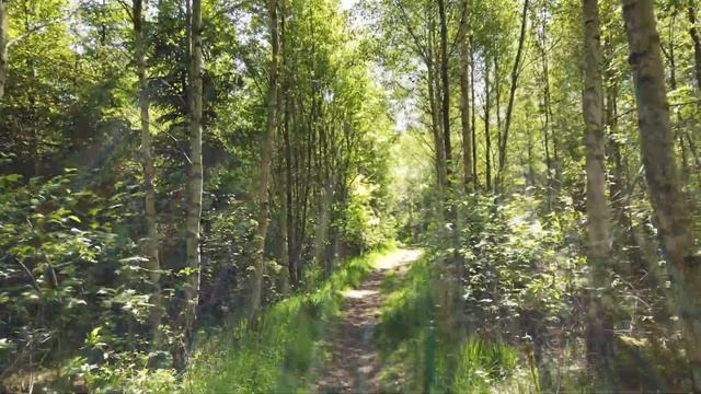 How can I stop forgetting my programming lessons? смотреть онлайн