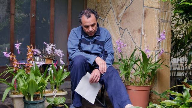 Bletilla Striata, Orchid Fertilizer, And Botany Boy Answers Q&A