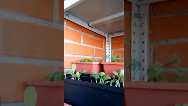 28 августа. смотреть онлайн