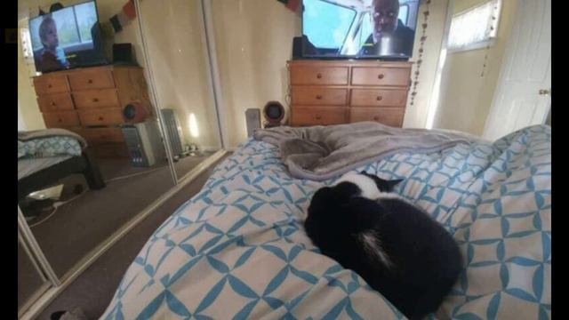 Доказательства МАТРИЦА дала сбои I Мы живем в МАТРИЦЕ смотреть онлайн