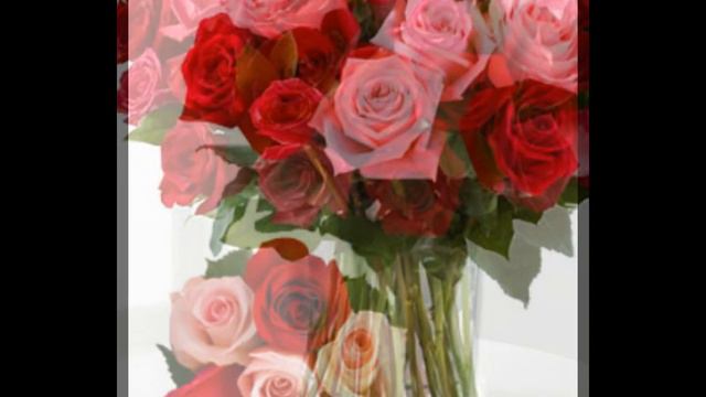 pink red roses bouquet смотреть онлайн