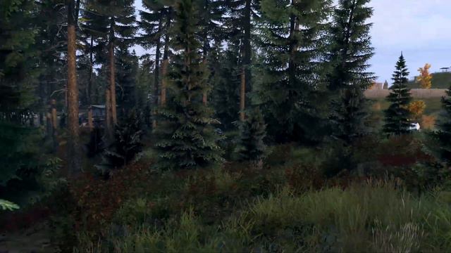 A day before the wipe in DayZ - ABSOLUTE DESTRUCTION смотреть онлайн