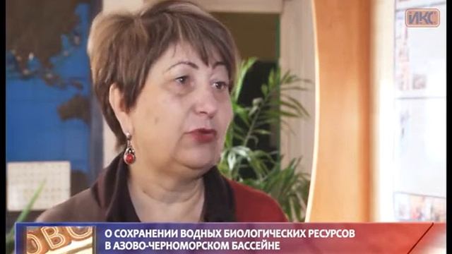 ПОВОД И ДОВОД. О сохранении водных биологических ресурсов в Азово-Черноморском бассейне смотреть онлайн