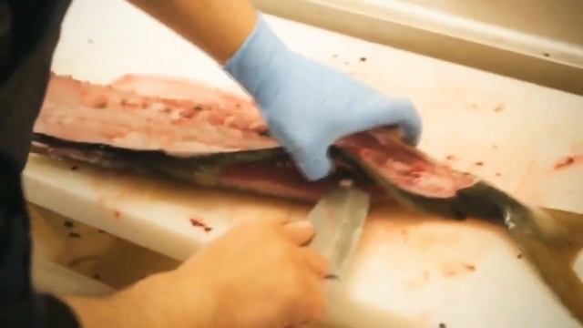 Вкусные рецепты рыбы