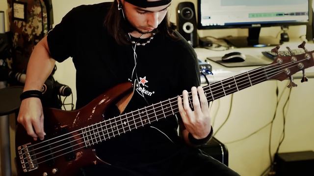 Twelve Foot Ninja - Mother Sky Bass Cover смотреть онлайн
