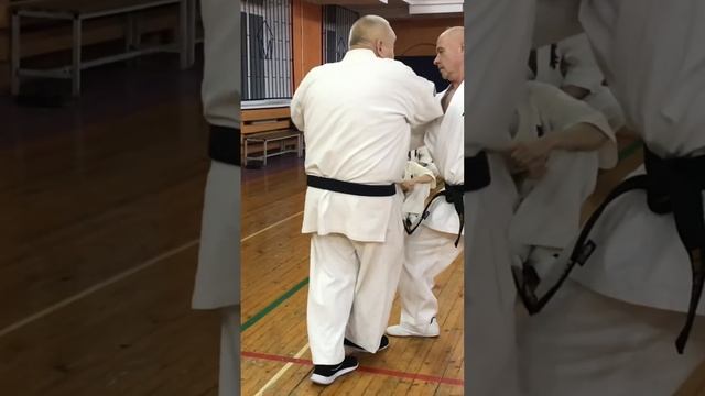 Кёкусинкай / Сихан Танюшкин / Применение Какэ-дати для самозащиты (3) смотреть онлайн
