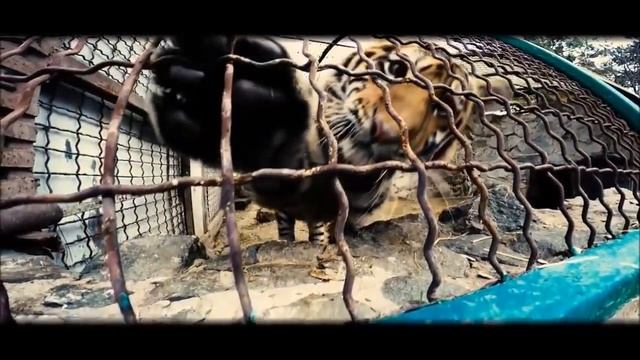 Олег Зубков.Тайгано- Сказочный и самый нежный папа смотреть онлайн