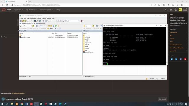 how to upgrade oracle apex previous version to latest version [apex 22.1] смотреть онлайн