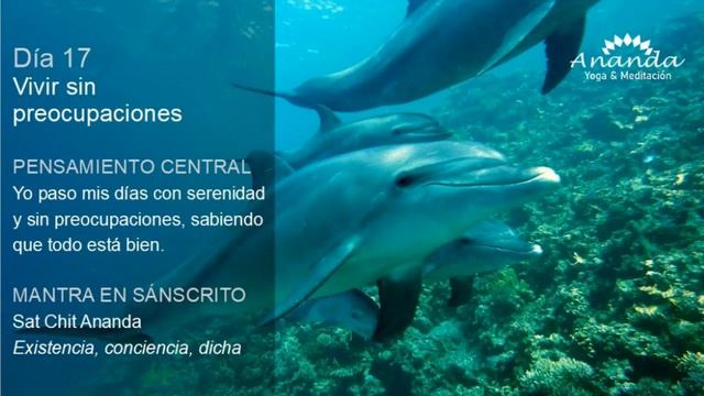 Deepak Chopra Día 17 Meditación Creando Abundancia