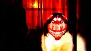 smile dog (смайл дог)