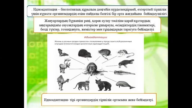 Ароморфоз Дегенерация Идиоадаптация смотреть онлайн