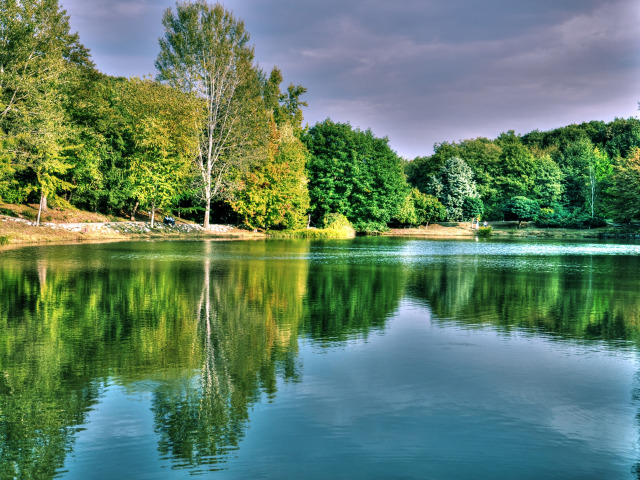 342.Трофеи 122.mp4 смотреть онлайн