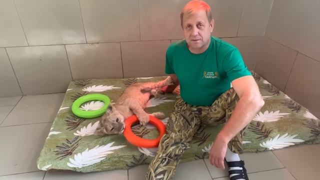 Маленькая львичка ТАК РАДУЕТСЯ приходу Олега Зубкова и подаркам от подписчиков! смотреть онлайн