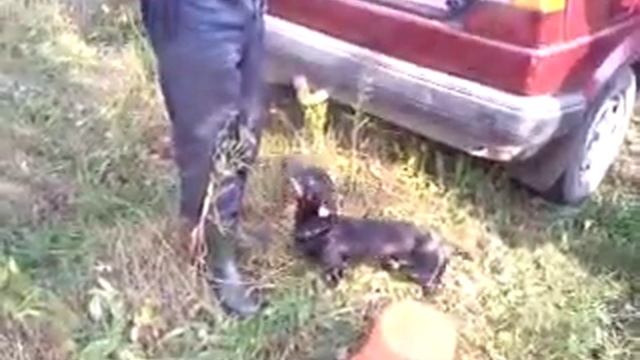 Мы на охоте