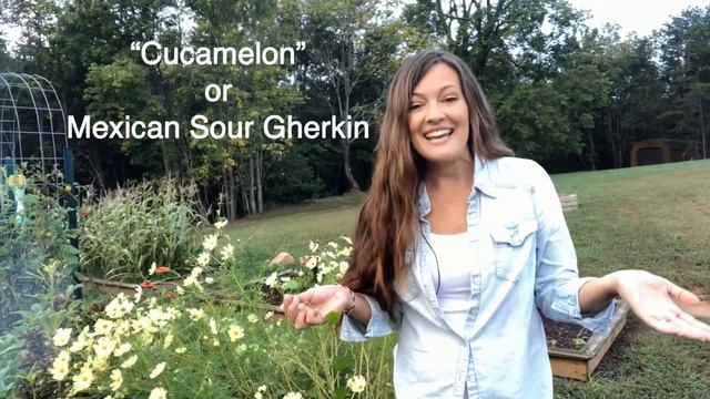 My Favorite Veggies And Flowers From The 2020 Garden Season