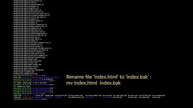 Install Wordpress on Ubuntu (Intuz ubuntu on AWS) смотреть онлайн