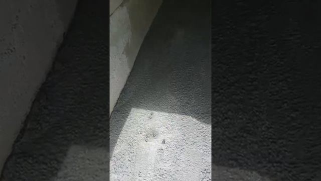 бетонный пол в гараже. смотреть онлайн