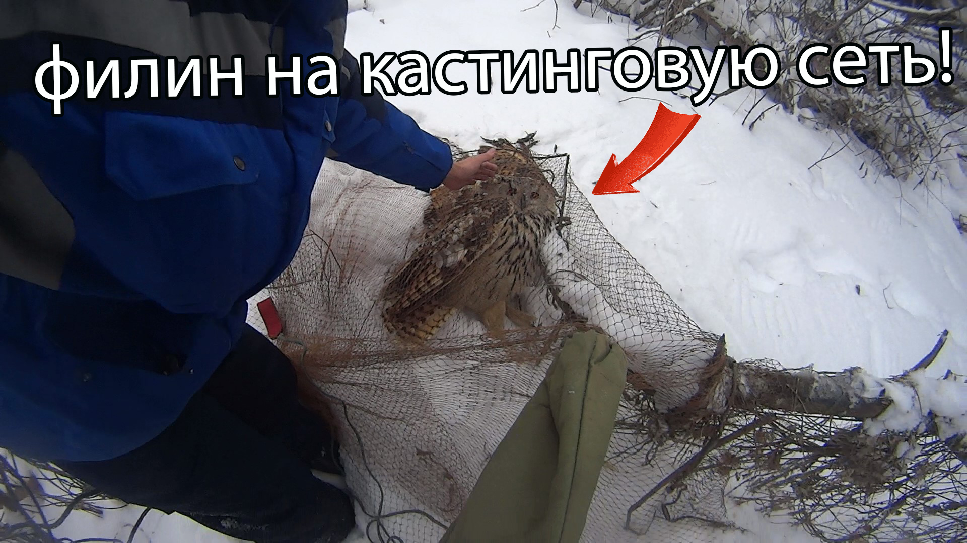 Рыбалка на кастинговую сеть! попался филин! филин чуть не утонул! его пришлось поймать и отпустить! смотреть онлайн