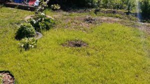 Моя дача?полный обзор! #дача#деладачные