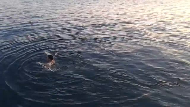 Учусь плавать в холодном Иссык-Куле середины октября)) смотреть онлайн