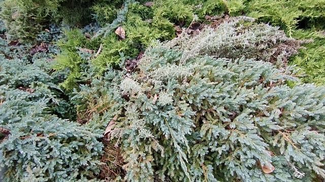 Одесса. 3 марта 2022. смотреть онлайн