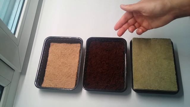 Типы субстрата для выращивания микрозелени смотреть онлайн