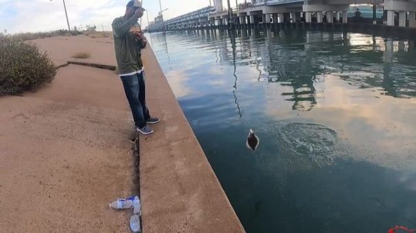 Flounder Hole Fishing for 20 Inchers