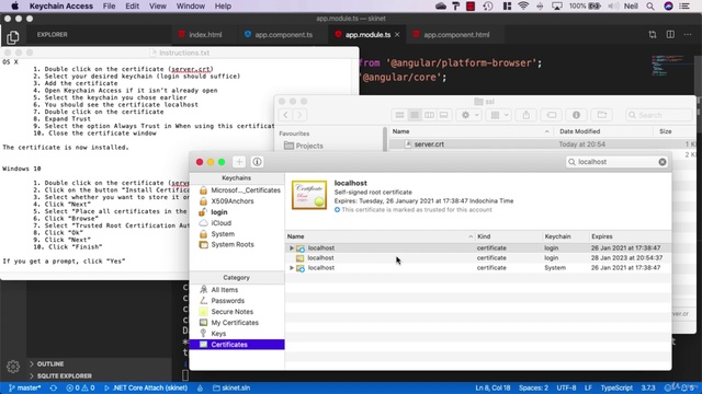 074 Setting up Angular to use HTTPS смотреть онлайн